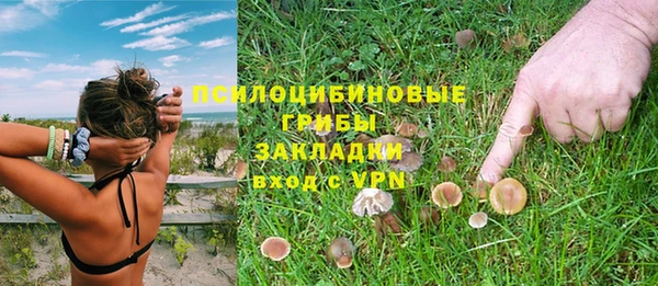альфа пвп Баксан
