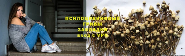 стаф Балахна