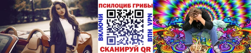 omg ССЫЛКА  сайты даркнета какой сайт  Галлюциногенные грибы Psilocybine cubensis  Ясногорск 